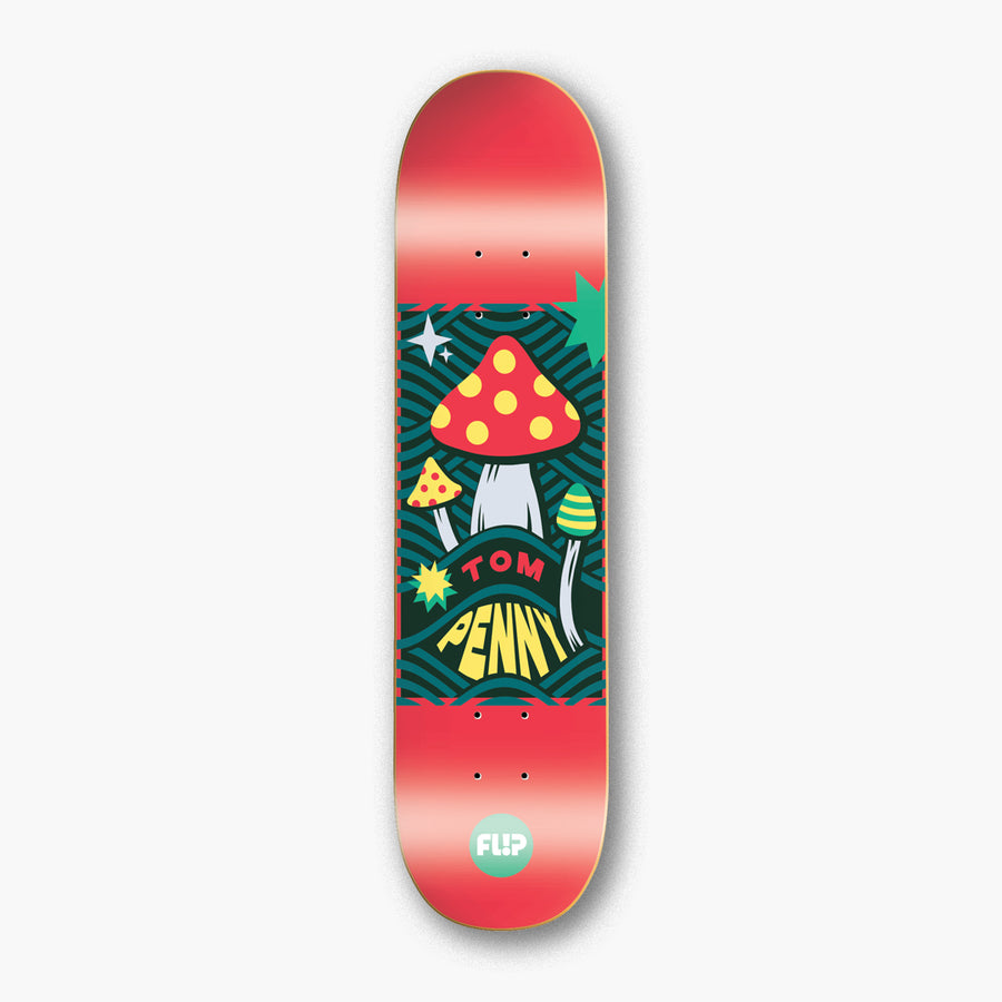 Penny Grotto 8.4”